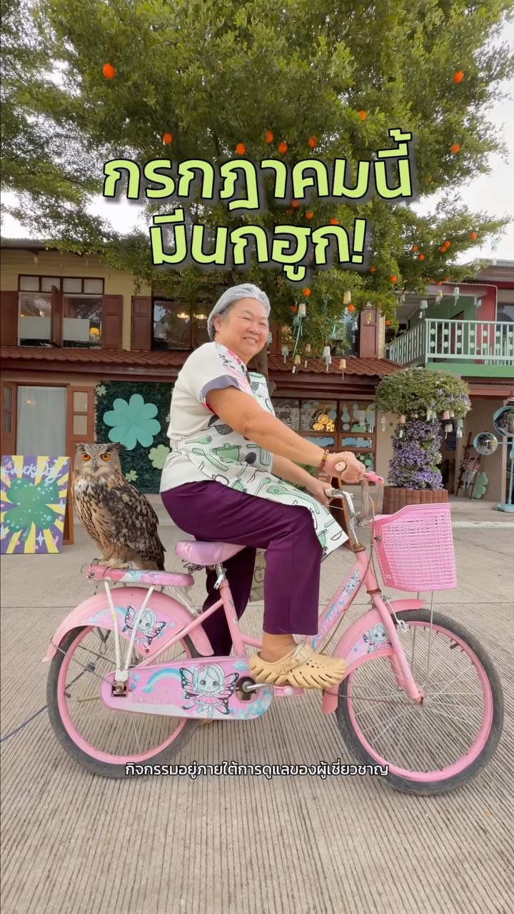 Owl Encounters At Happy Mum Happy Me Cafe