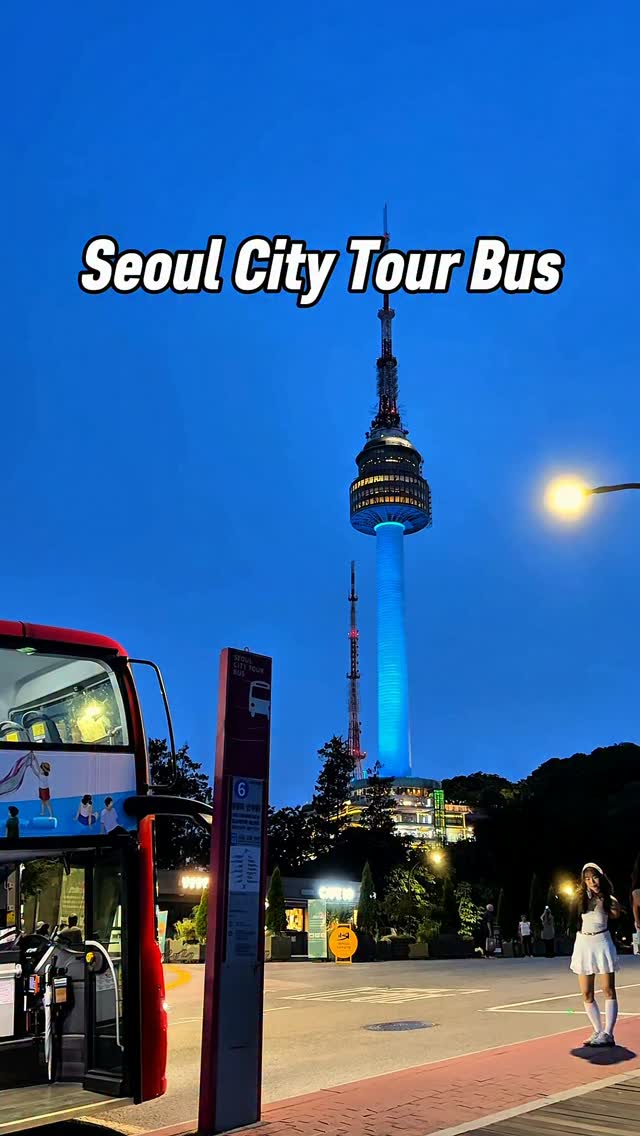 Seoul Night City Tour Bus Highlights