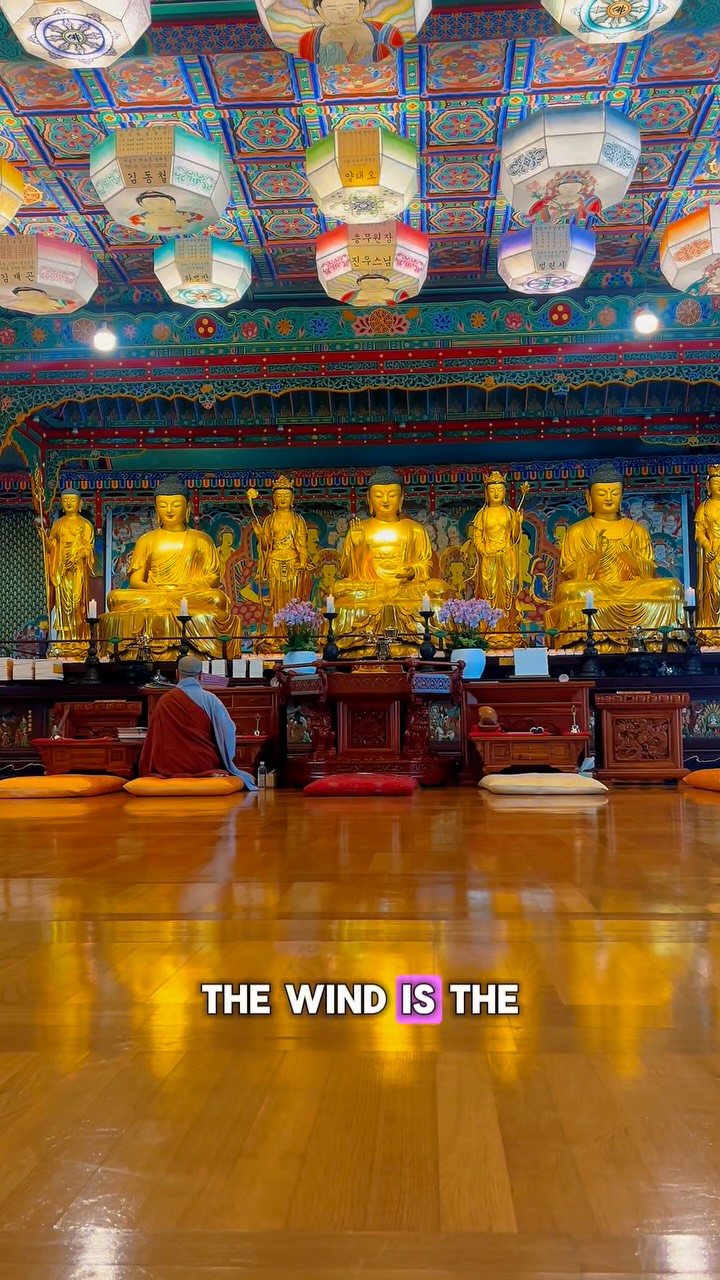Explore Seoul's Temples and Curious Bookstore