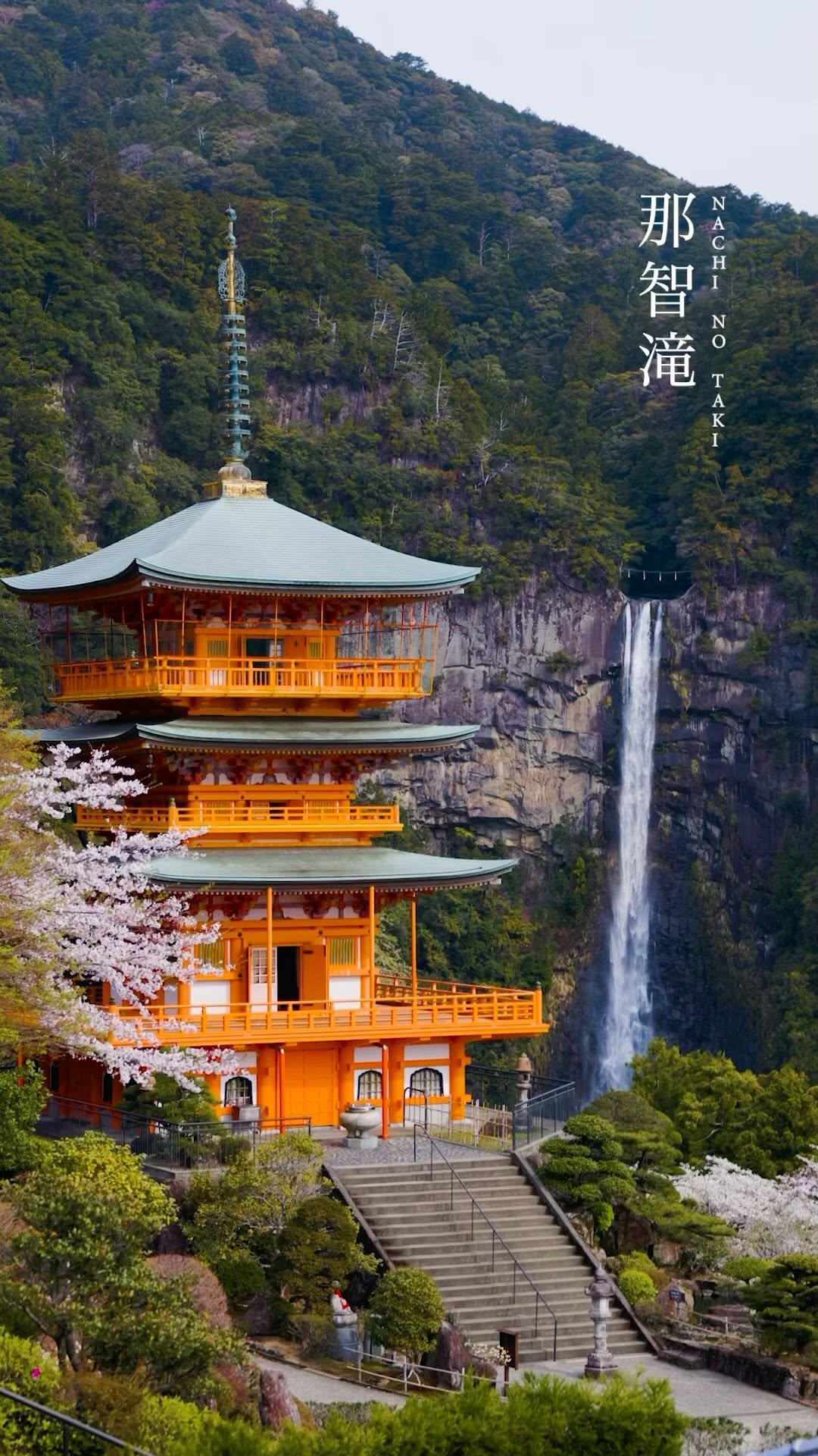 Nami | Just One Cookbook®, Nachi Waterfall