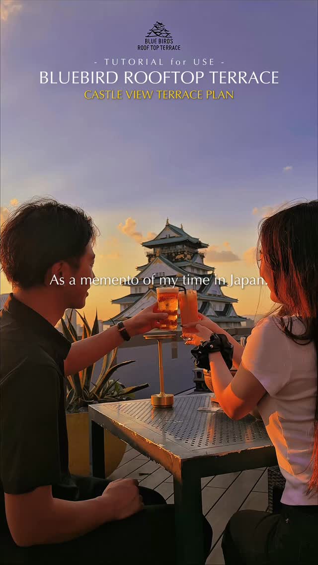 Castle Views and Japanese BBQ Experiences