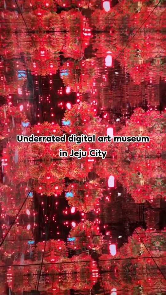 Jeju Digital Art Museums Compared