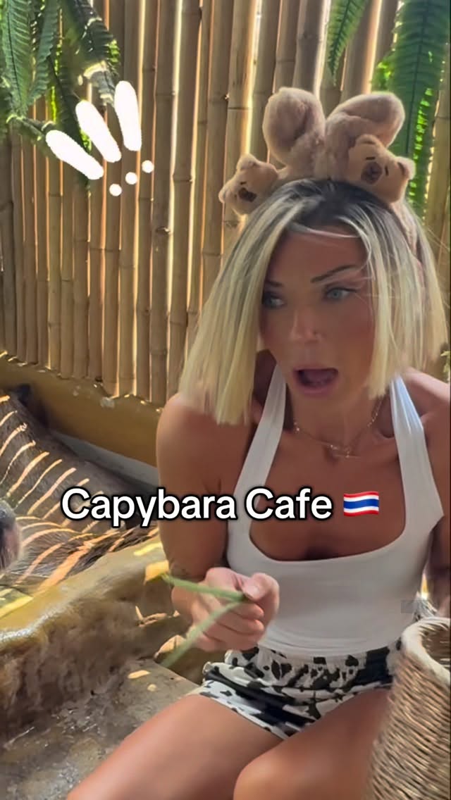 Meet Capybaras At Bangkok's Capybara Coffee