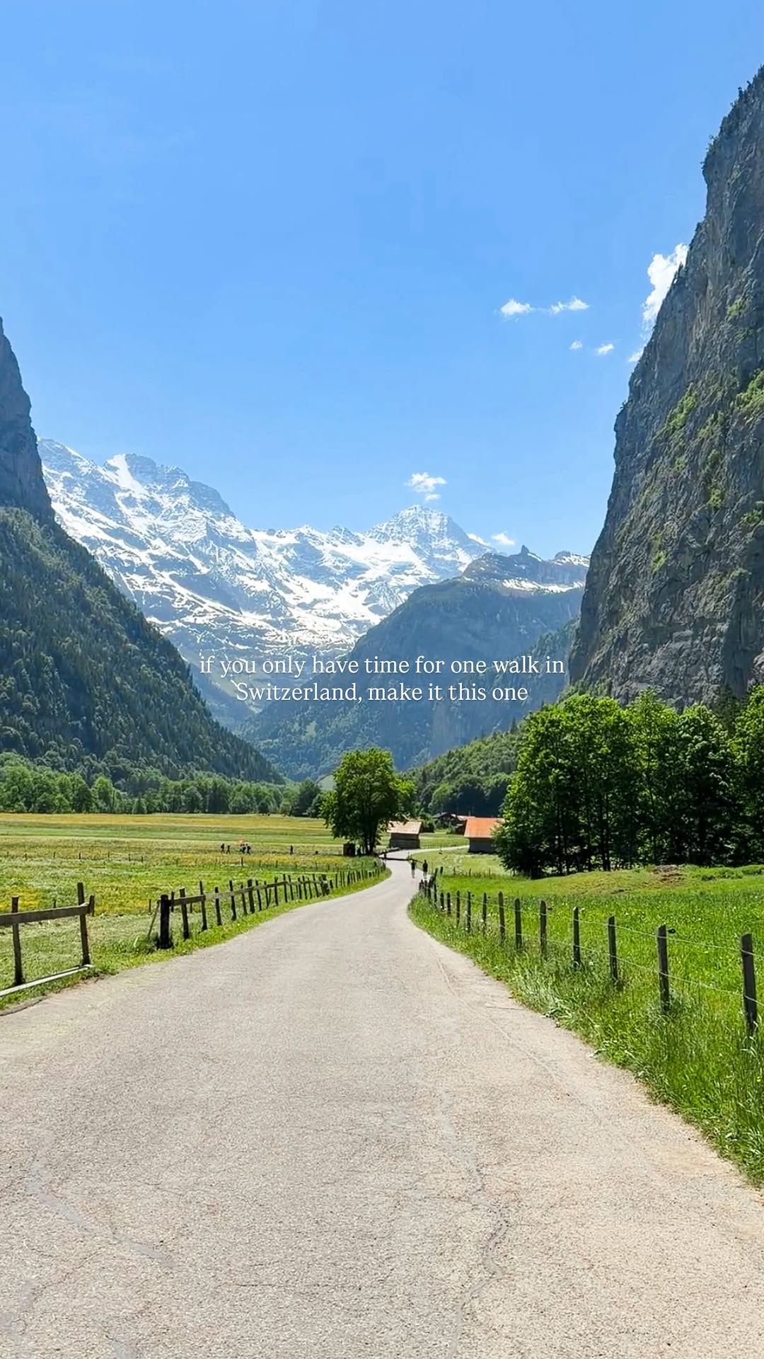 Lauterbrunnen Valley Waterfalls And Wildflowers Walk