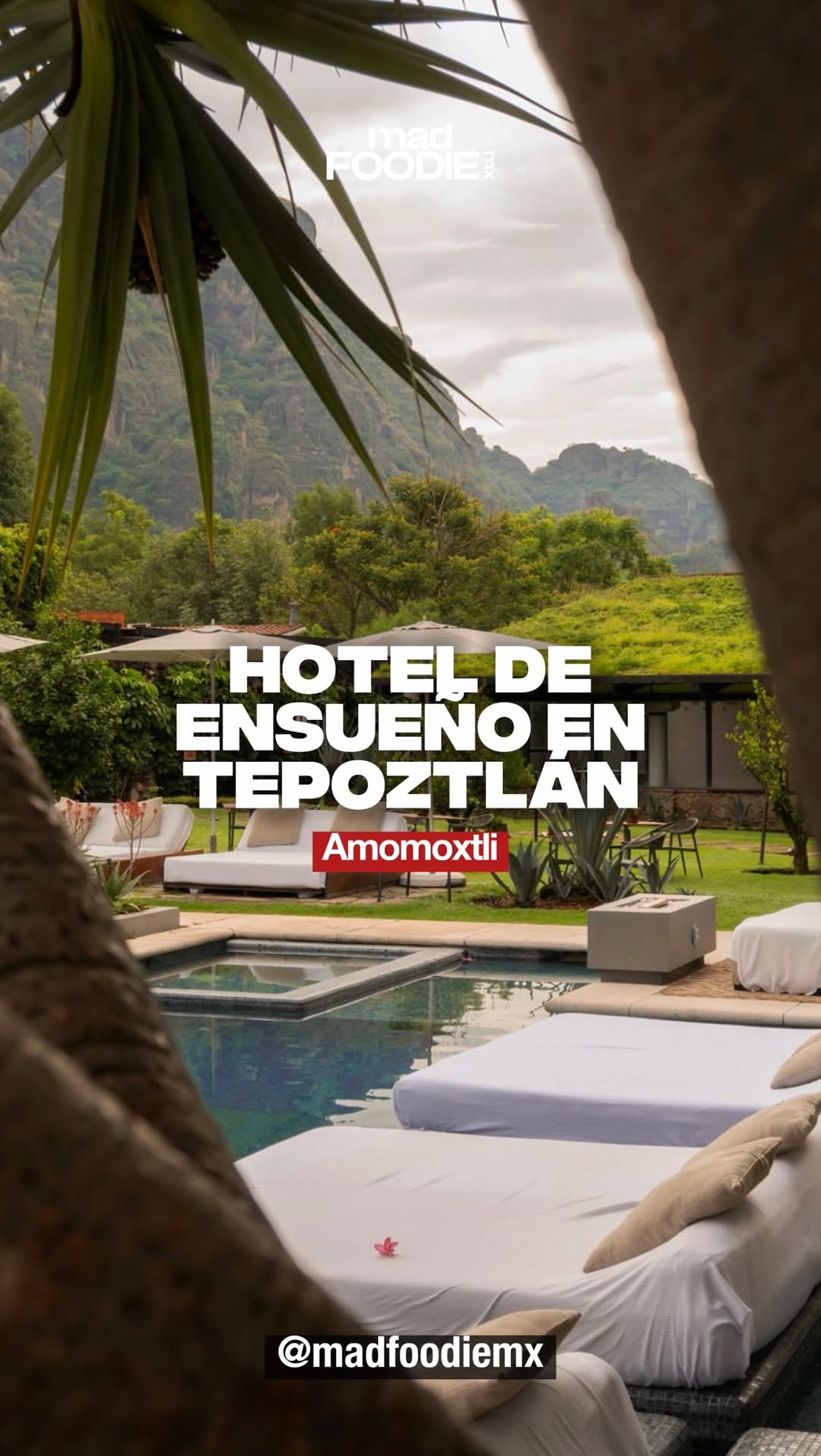 2 Hotels in Tepoztlán