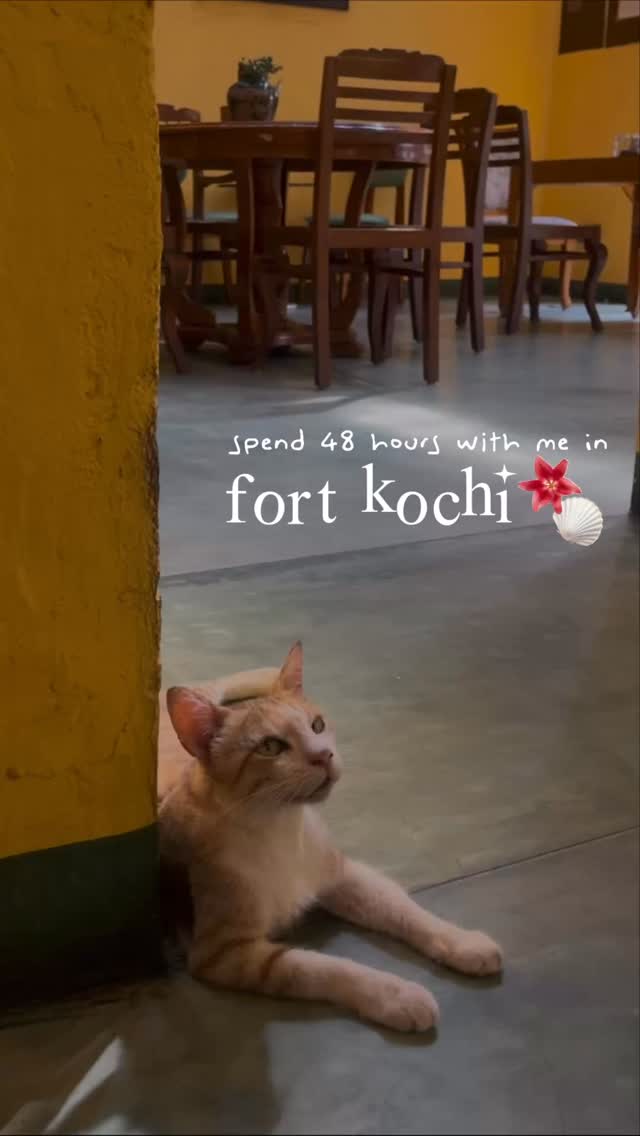 Fort Kochi's Cultural Gems And Coastal Charm