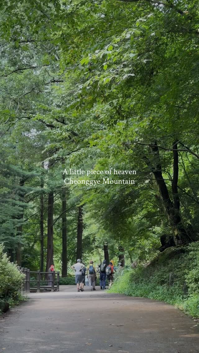 Cheonggyesan: A Peaceful Mountain Escape