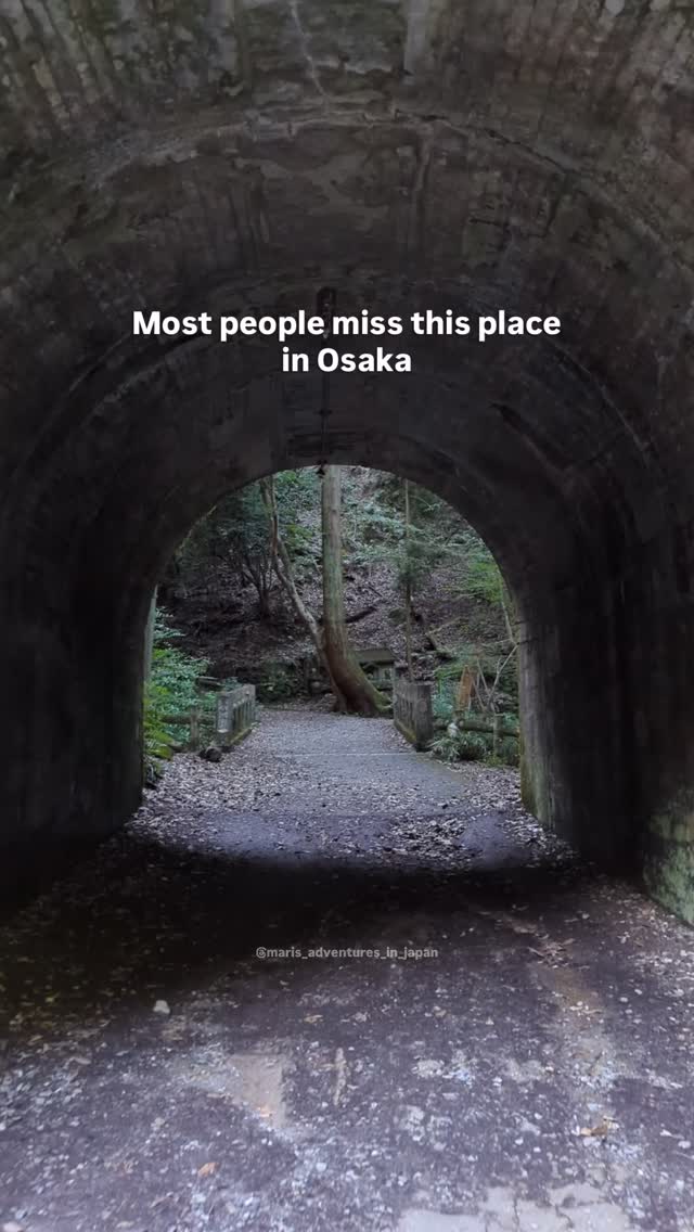 Nature and History in Osaka's Northern Region