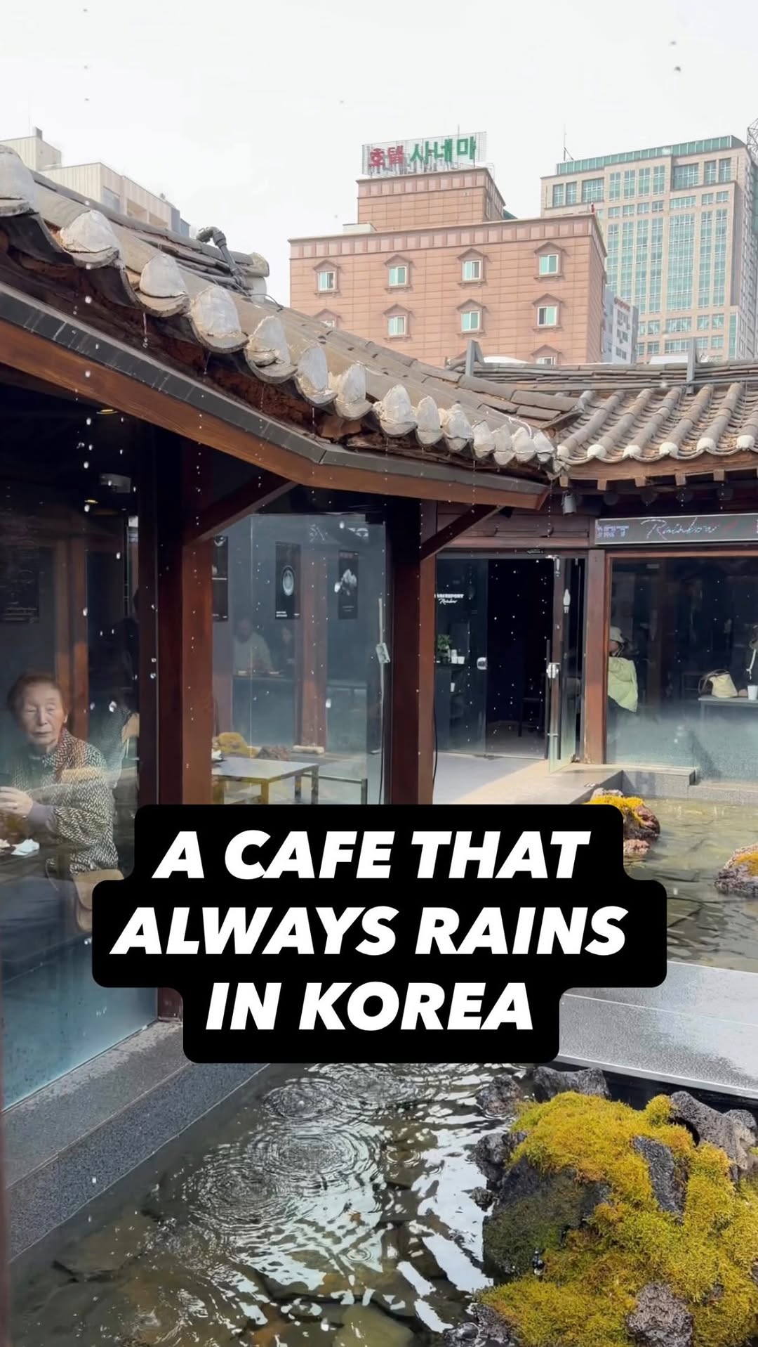Rain Report Rainbow Cafe Creates Indoor Storms