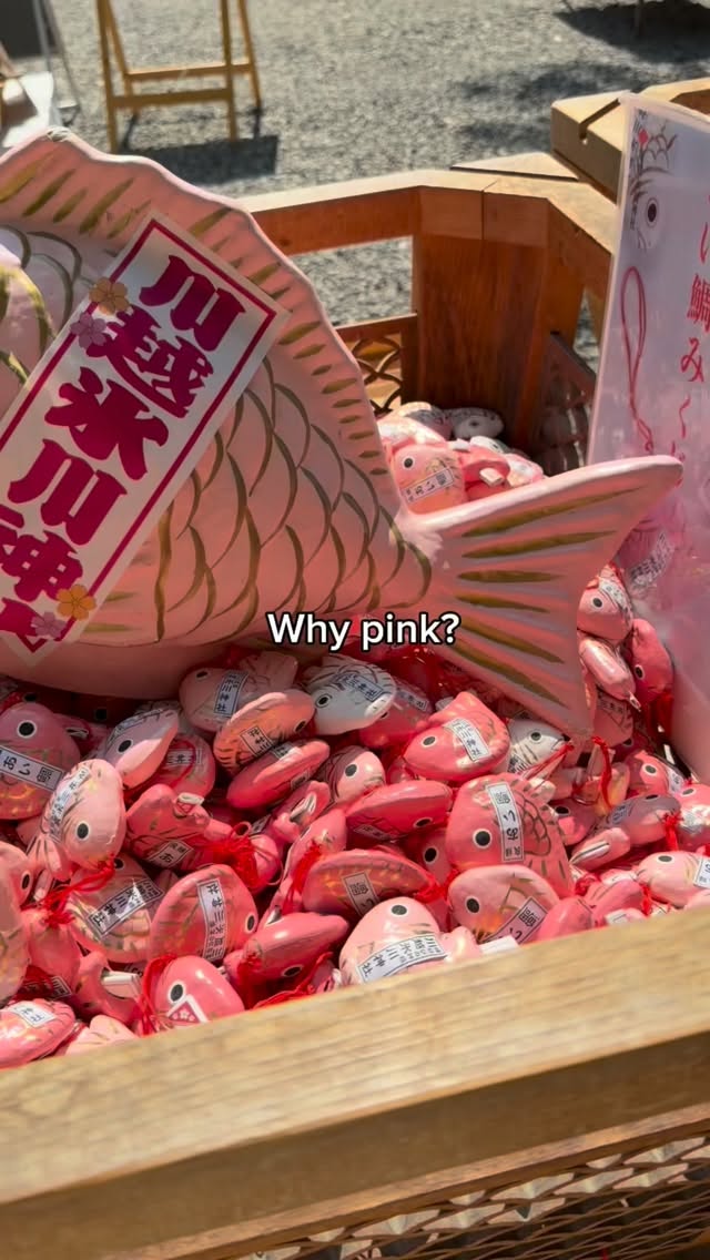 Kawagoe Hikawa Shrine Offers Unique Pink Sea Bream Fortunes