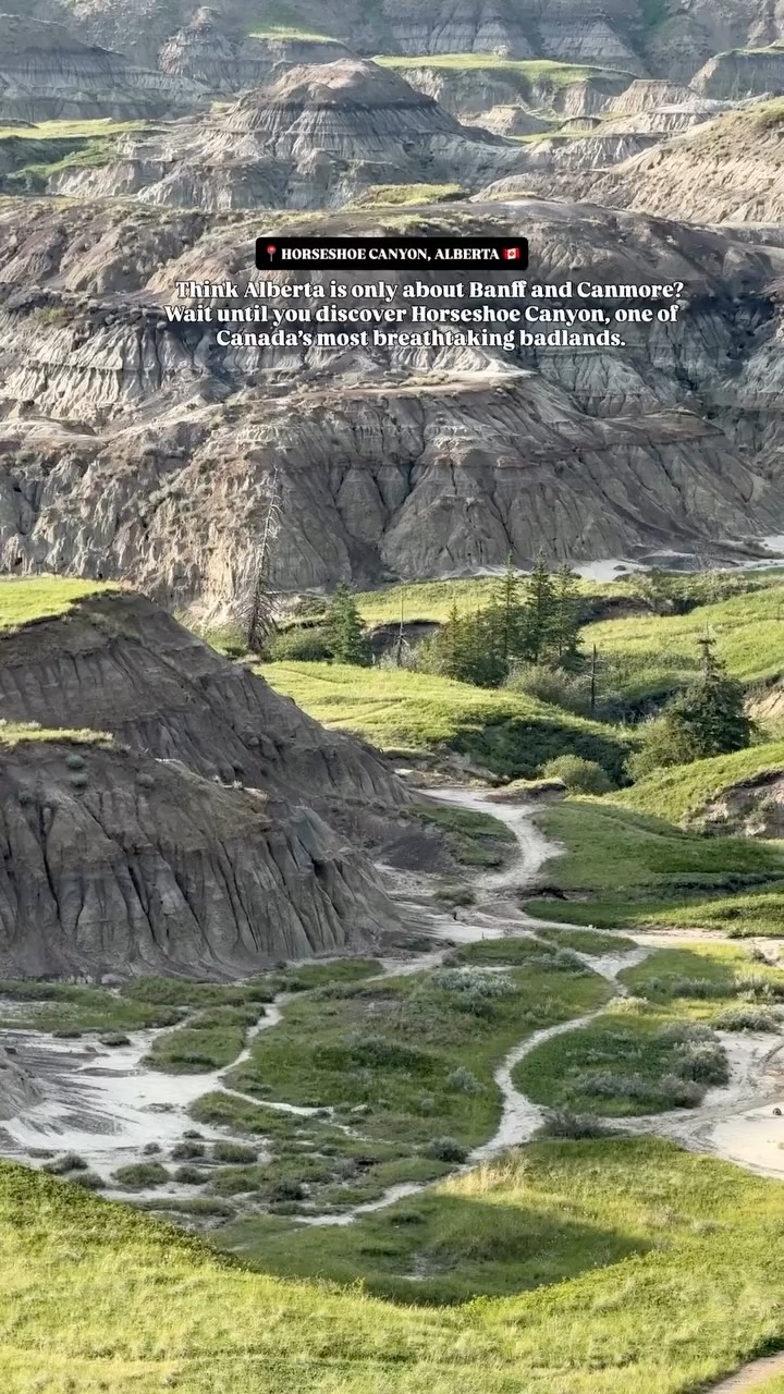 Horseshoe Canyon: Alberta Badlands Geological Wonder