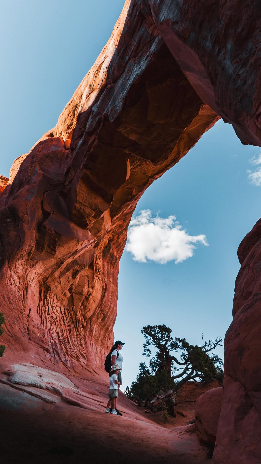 Southwest USA Road Trip: Parks and Hidden Gems
