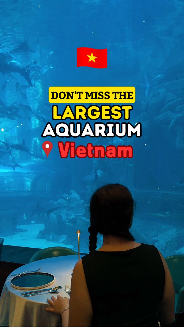 Giant Turtle Aquarium and Restaurant Experience