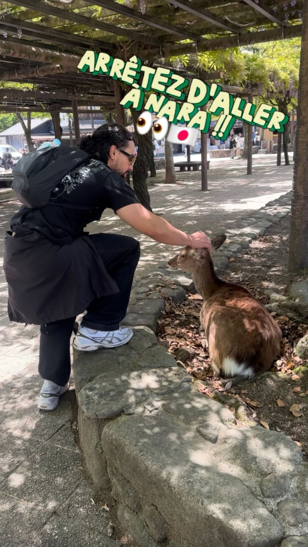 Hiroshima and Miyajima: Nature, Shrines, and Peace