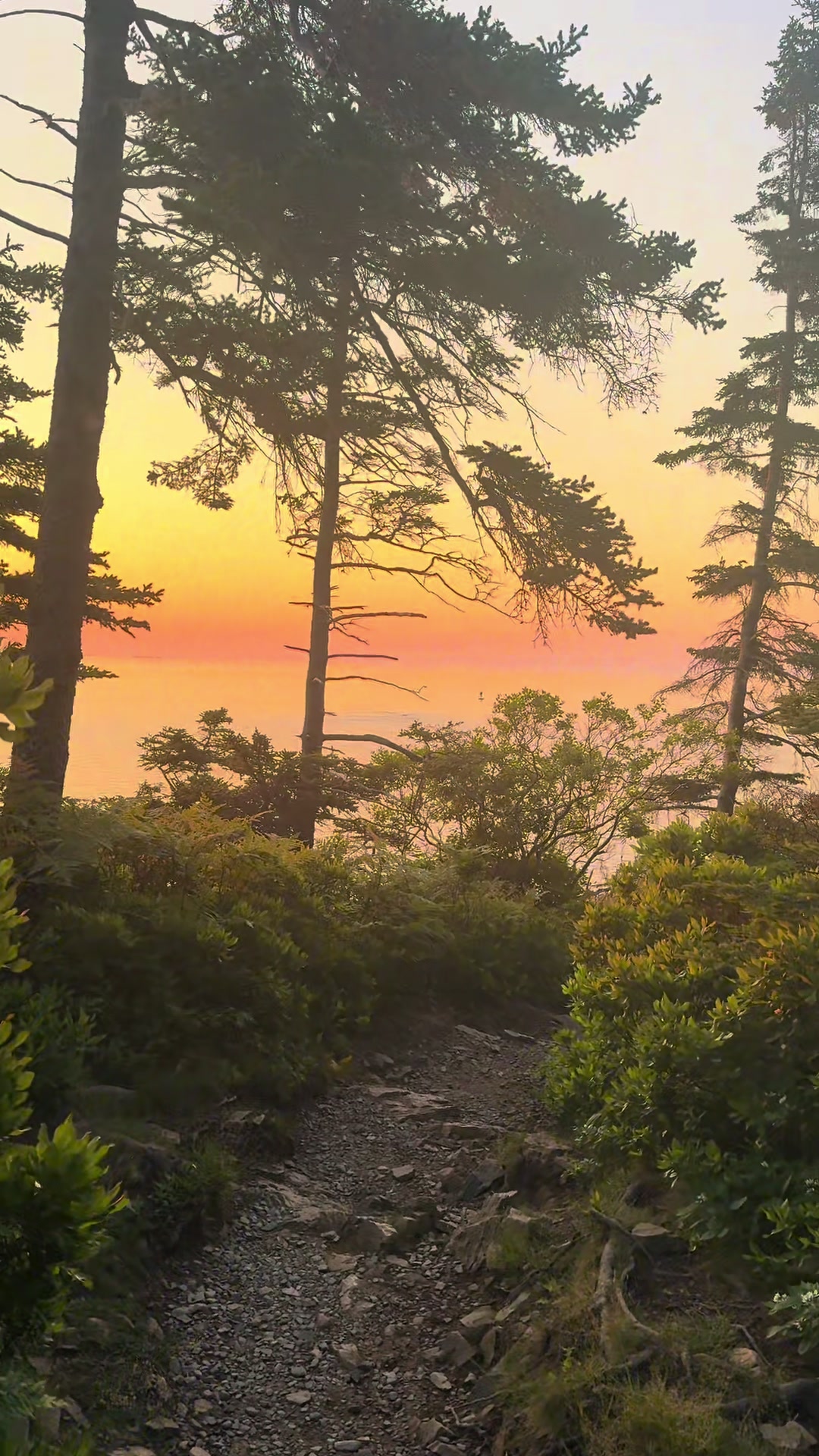 1 Places in Bar Harbor