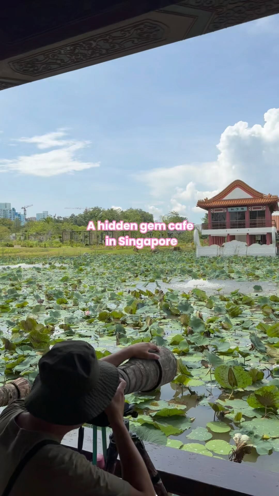 Hidden Cafe in Singapore's Chinese Gardens