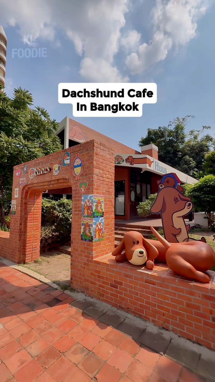 Dachshund Cafe Pop-Up in Bangkok