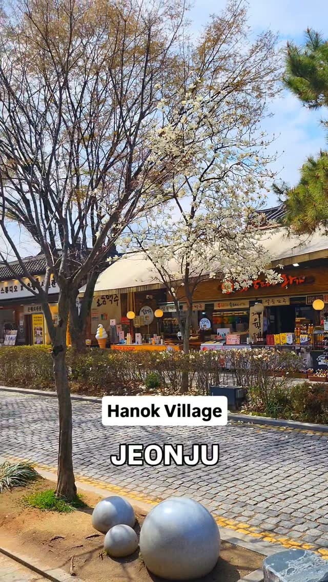 Jeonju Hanok Village's Traditional Charm