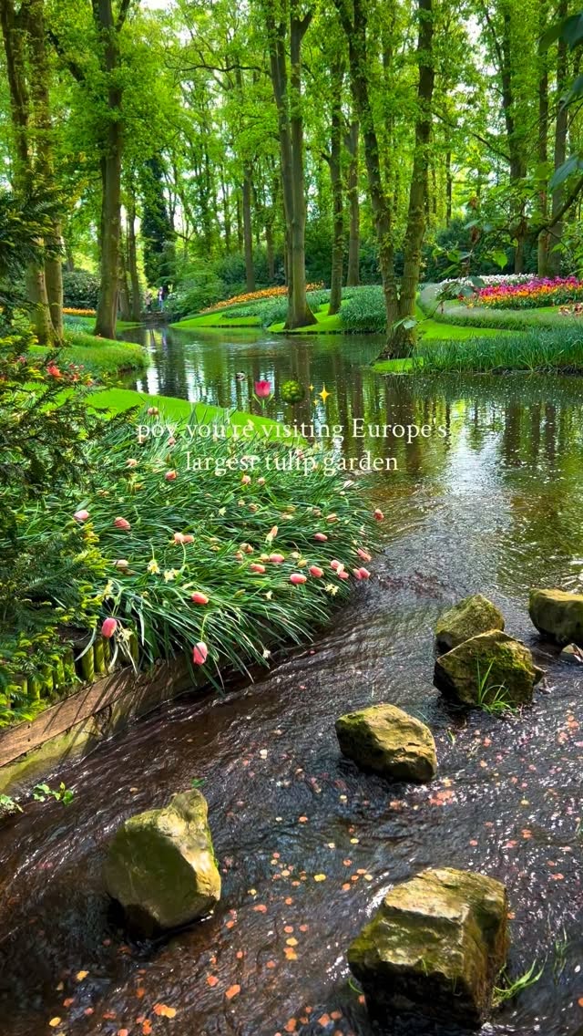 Keukenhof: Europe's Largest Flower Garden