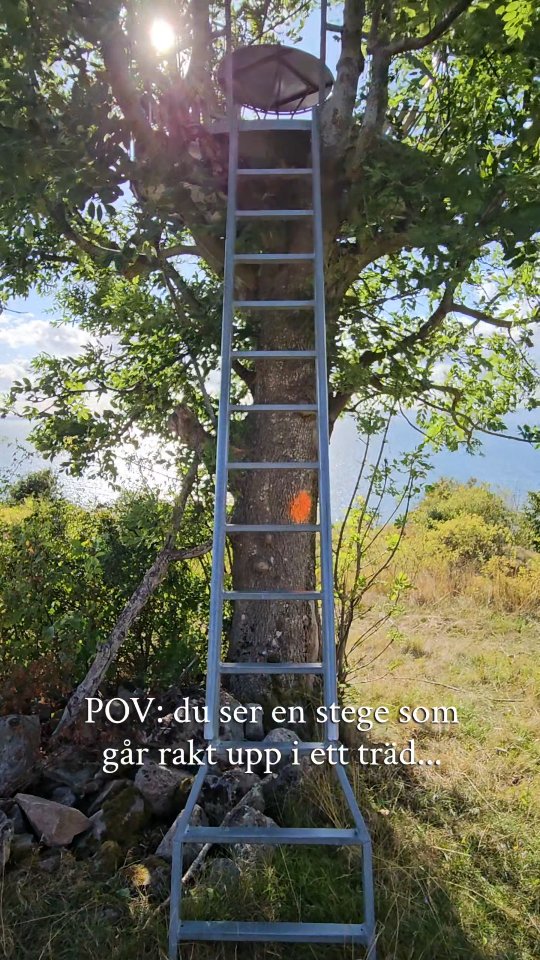 Klevens Naturstig Viewpoint Over Lake Vättern