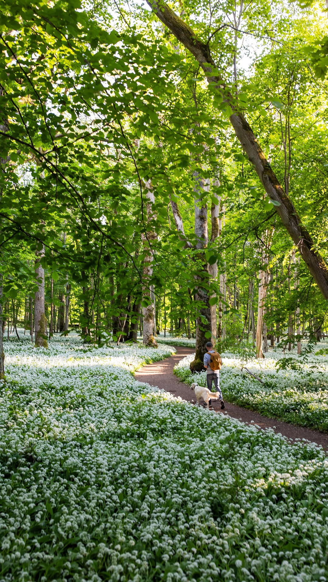 2 Attractions in Västra Götaland County