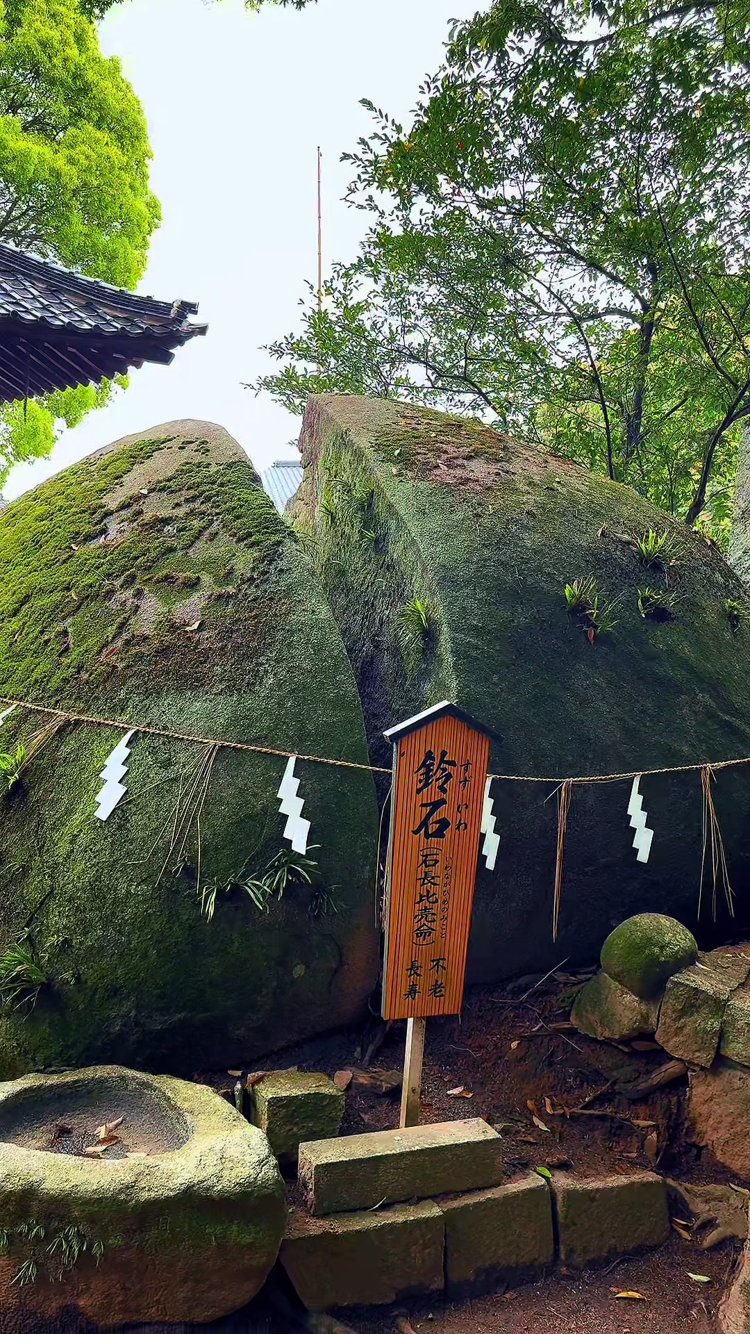 Shrines of Japan