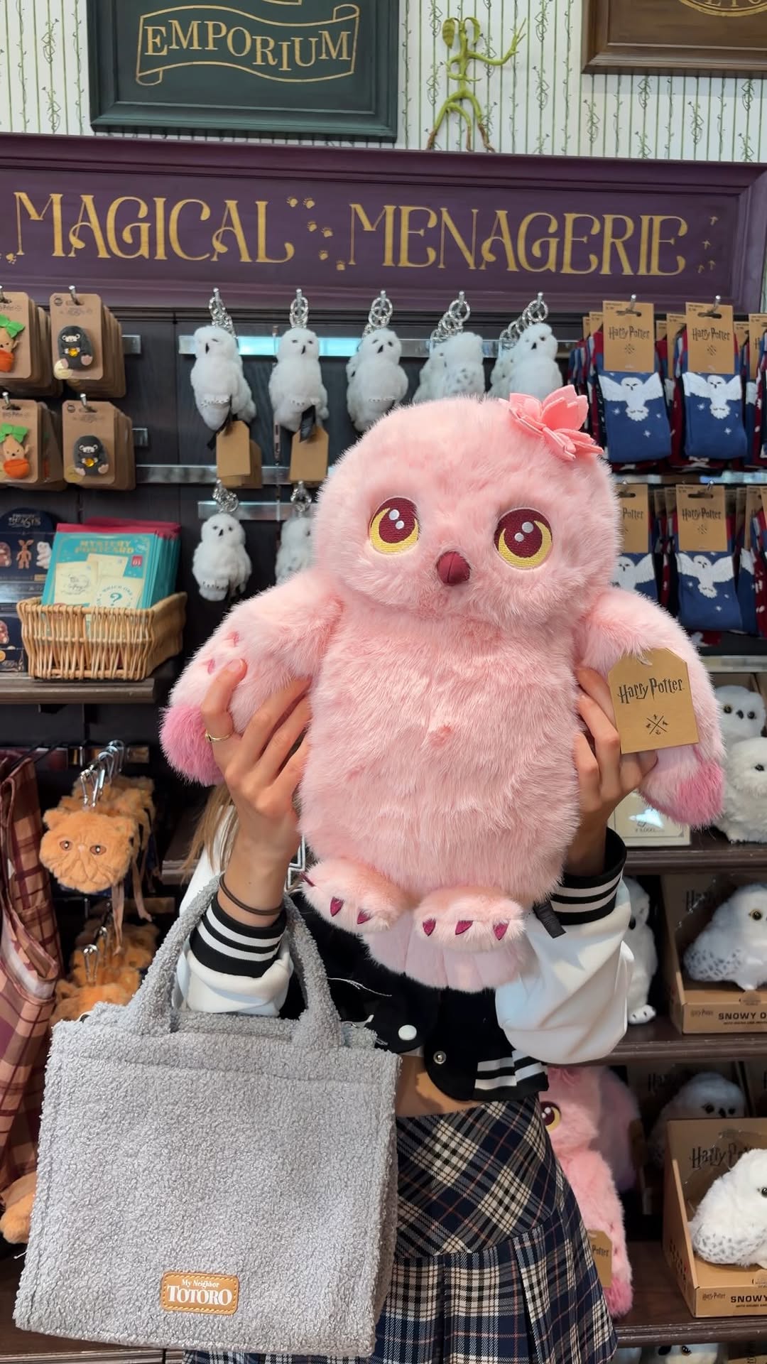 Harry Potter Merchandise At Akasaka Store