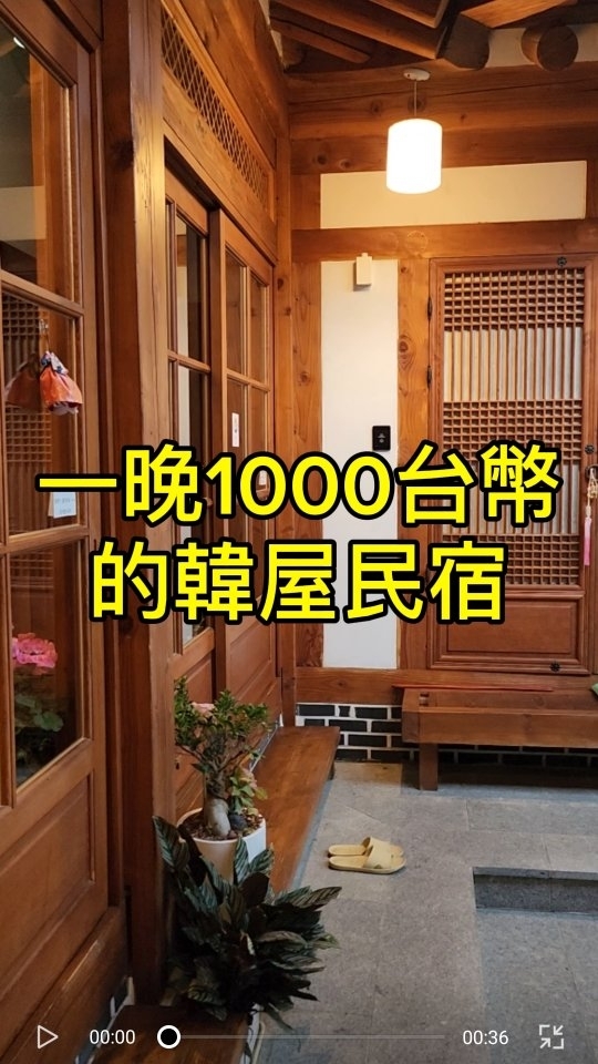 Hanok Stay in Jeonju with Cat