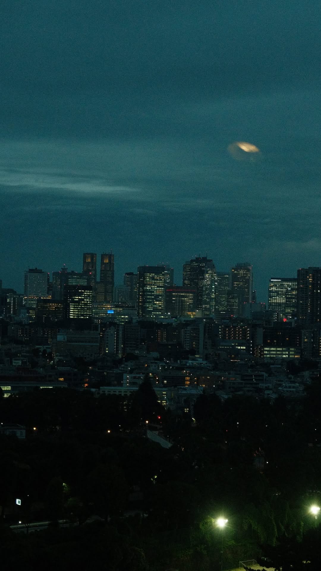 Tokyo Sky-High Buffet With City Views