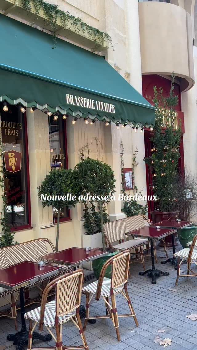 Brasserie Vinatier: A New Spot in Bordeaux
