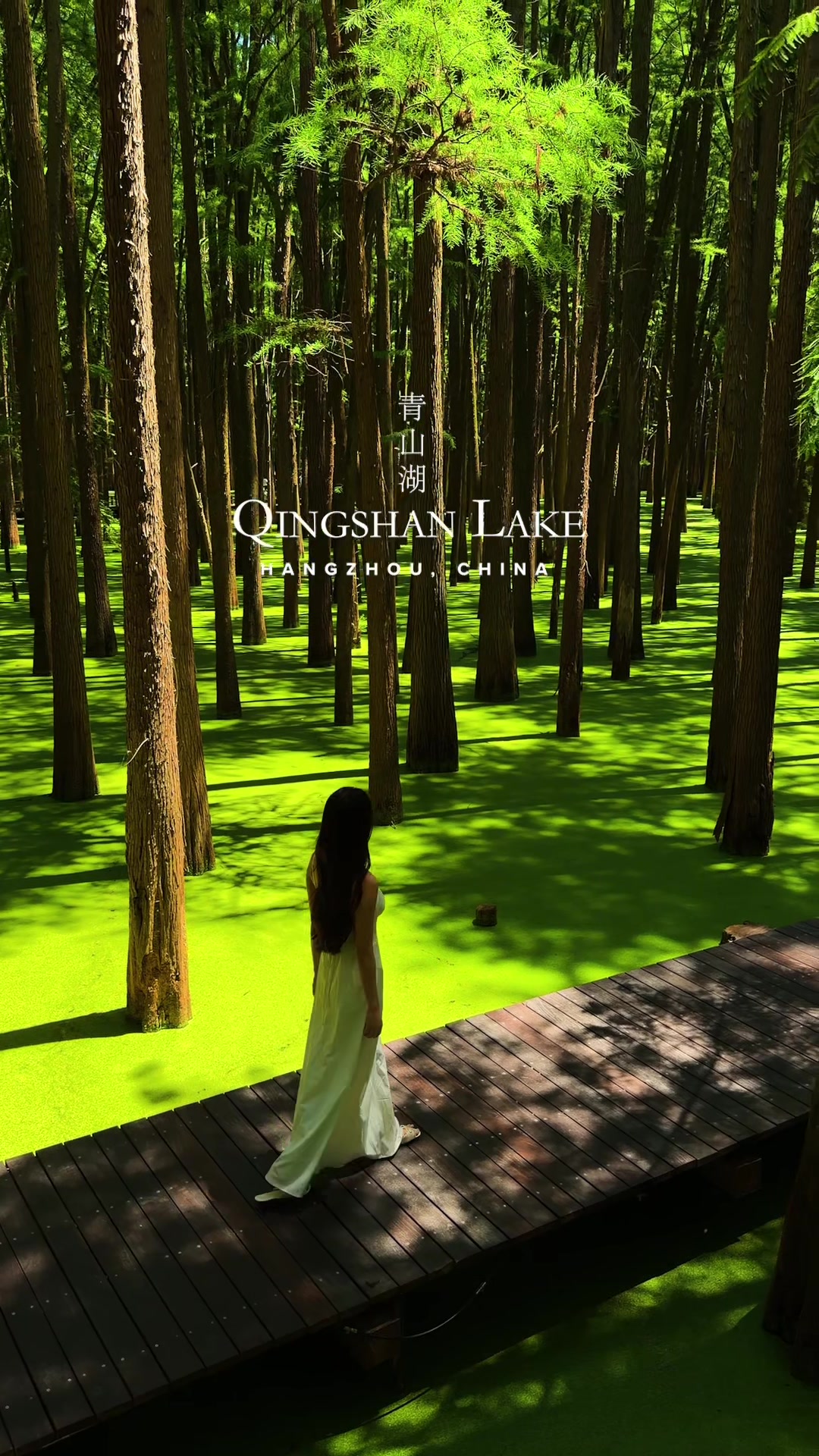 Qingshanhu Scenic Area's Matcha Lake