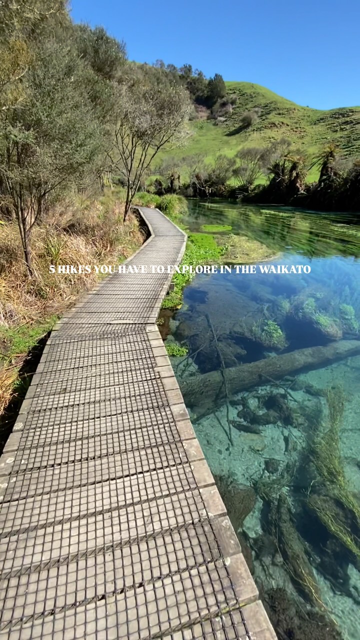 Waikato's Must-Explore Hiking Trails