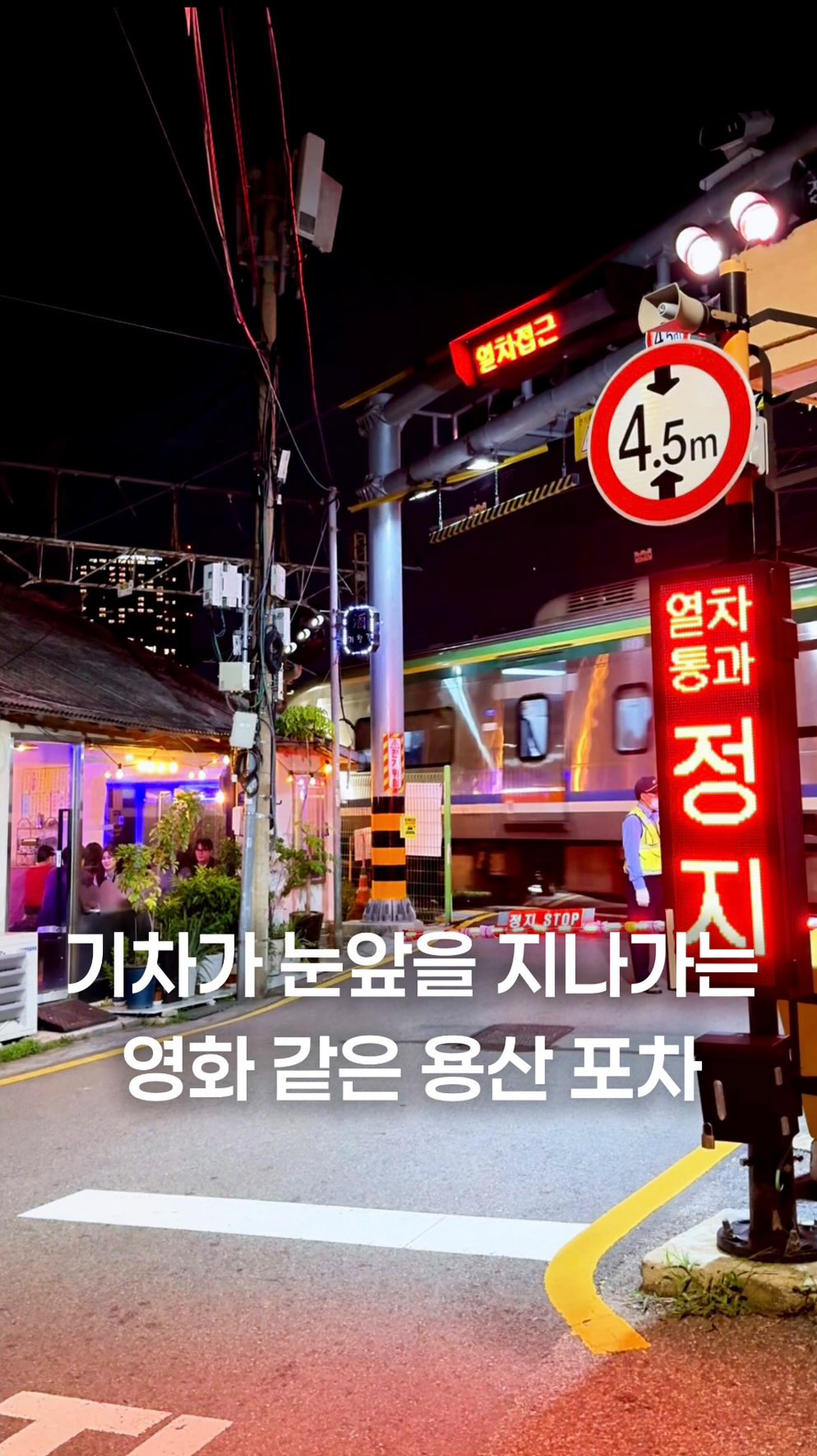 Retro Bar by Train Tracks with Welcoming Cats