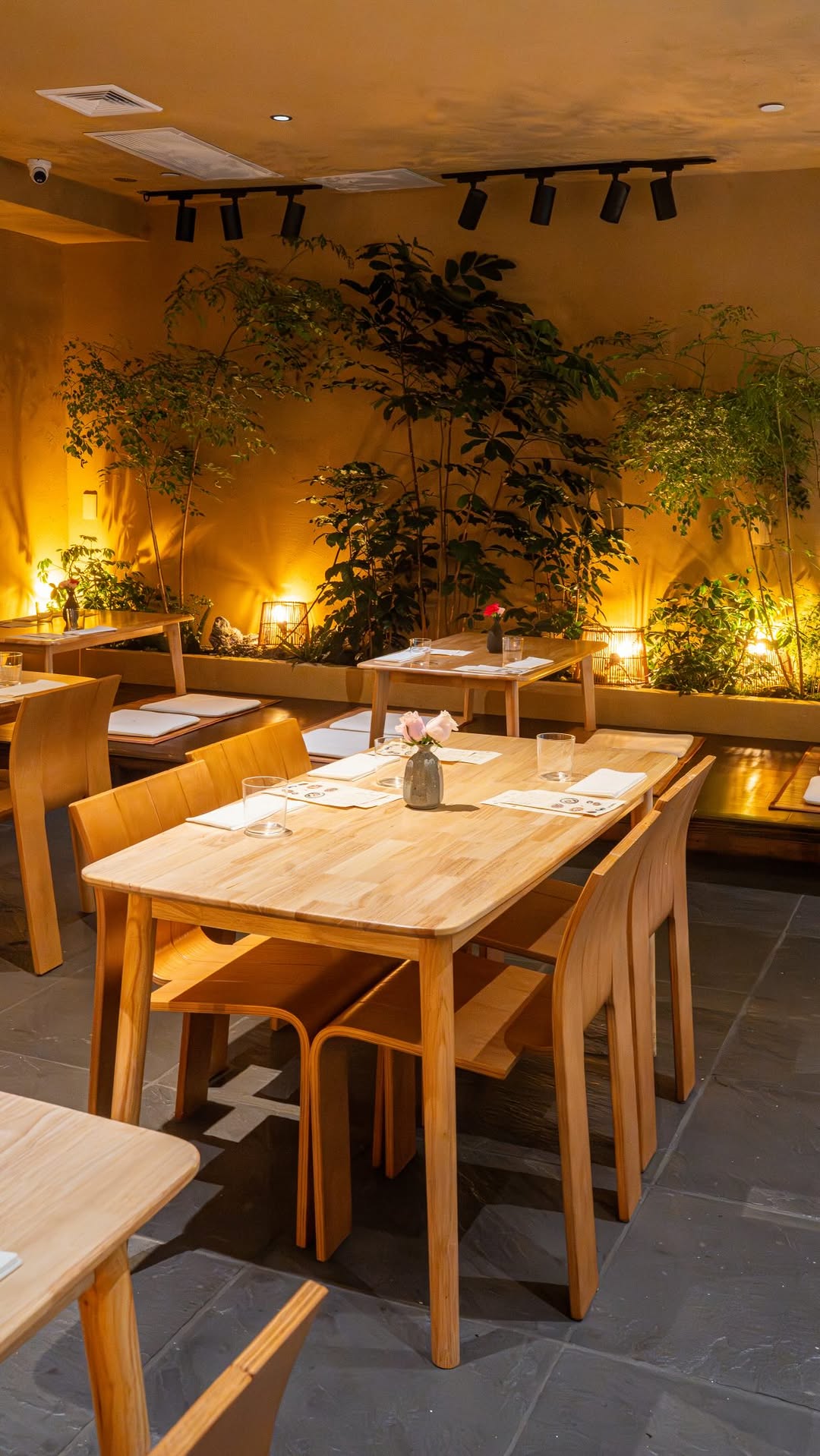 Umeko: A Culinary Gem