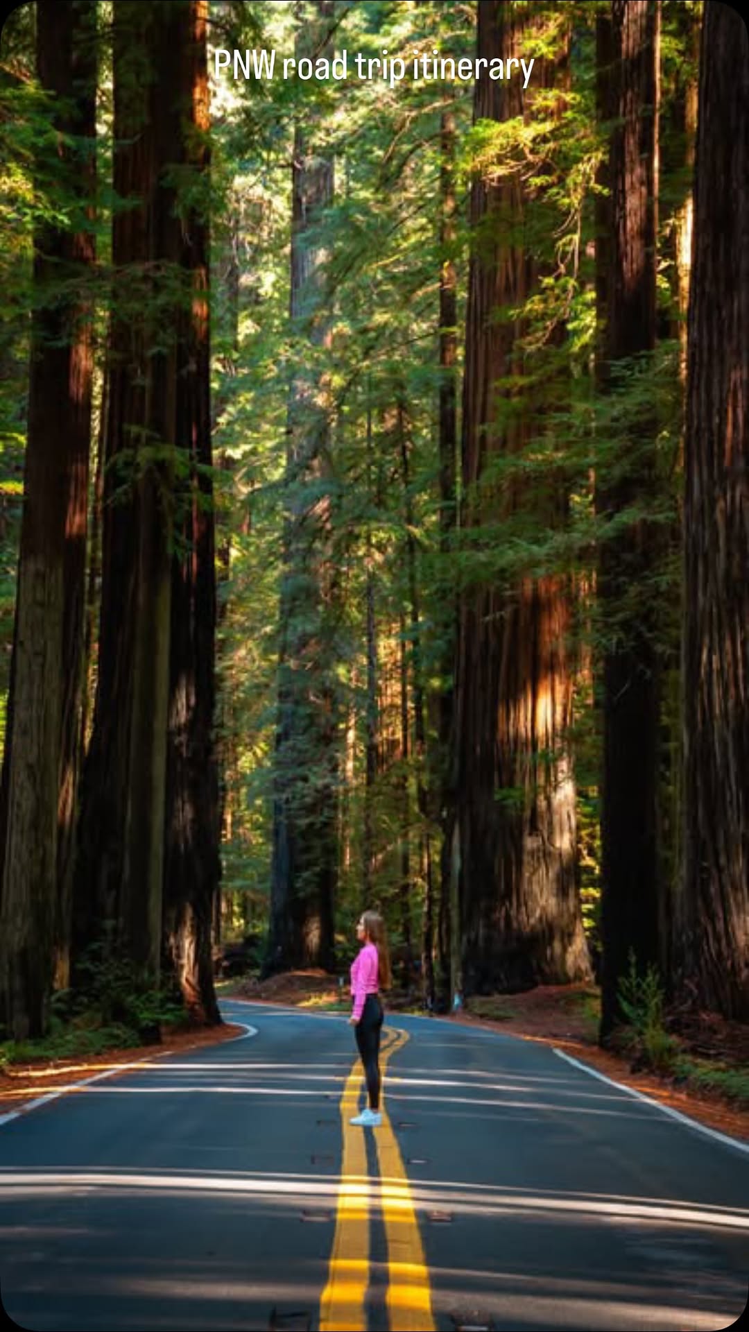 11 Attractions in United States