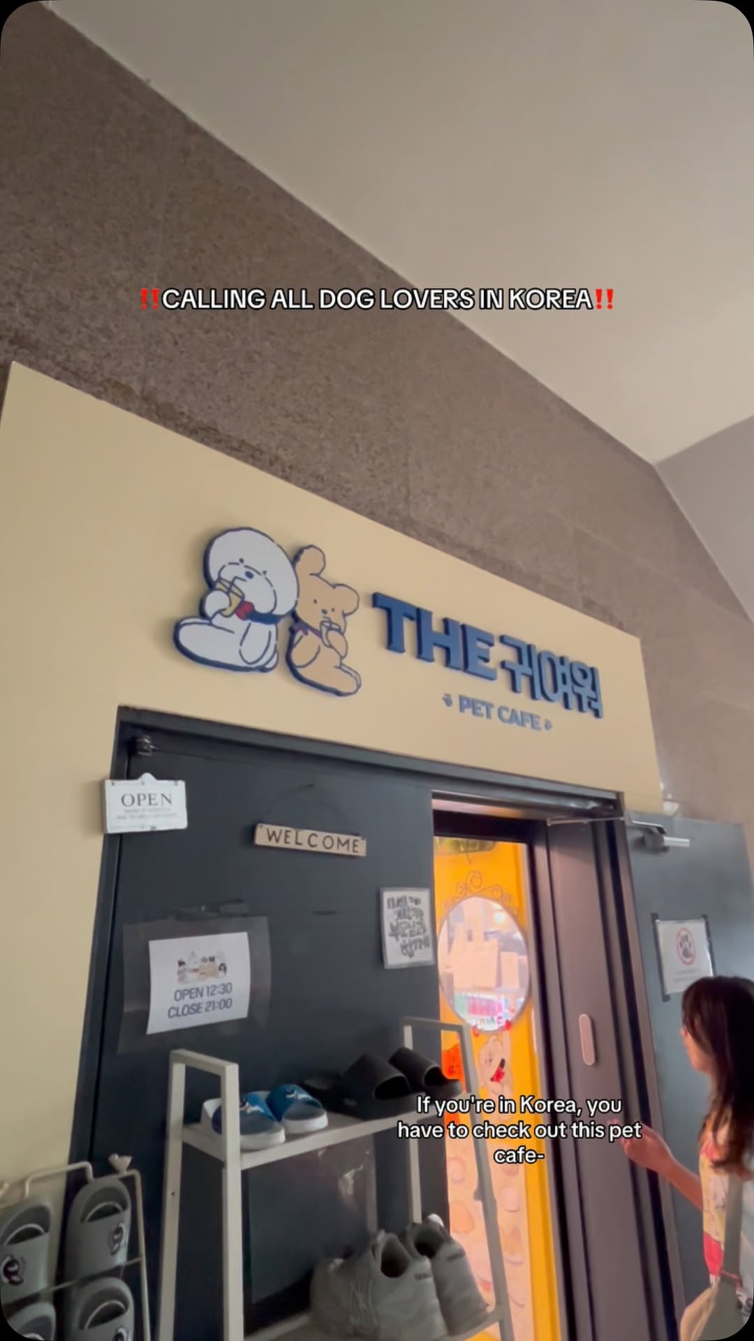 Dog Cafe With Friendly Pups