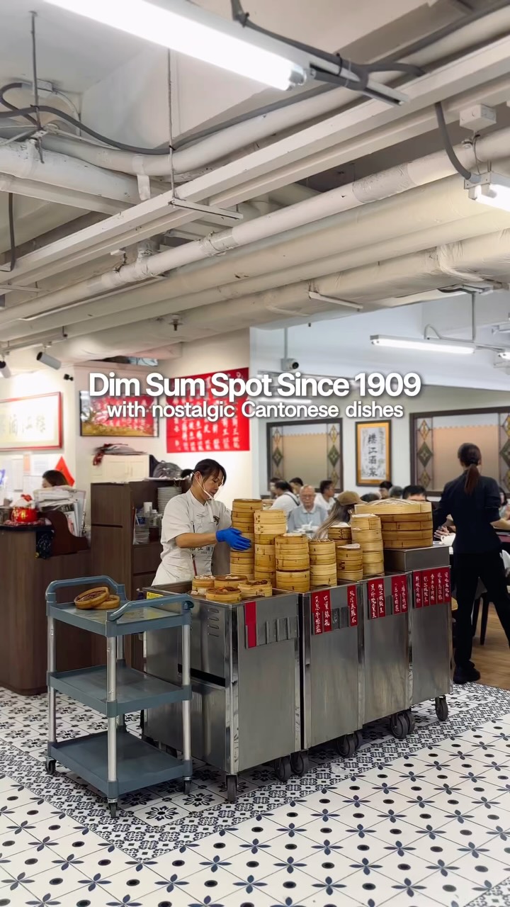 Traditional Dim Sum Gems in Mong Kok