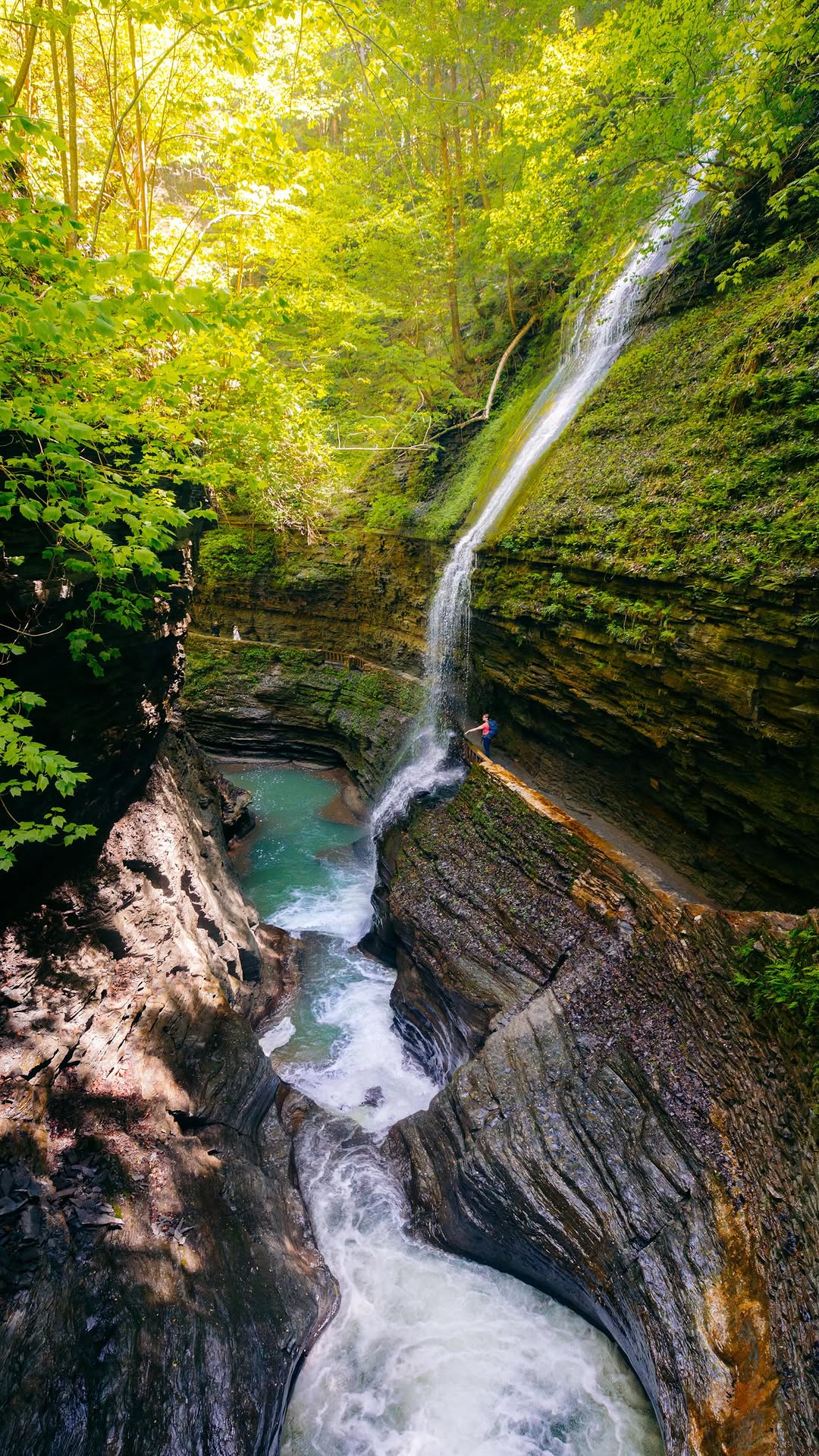 6 Attractions in New York