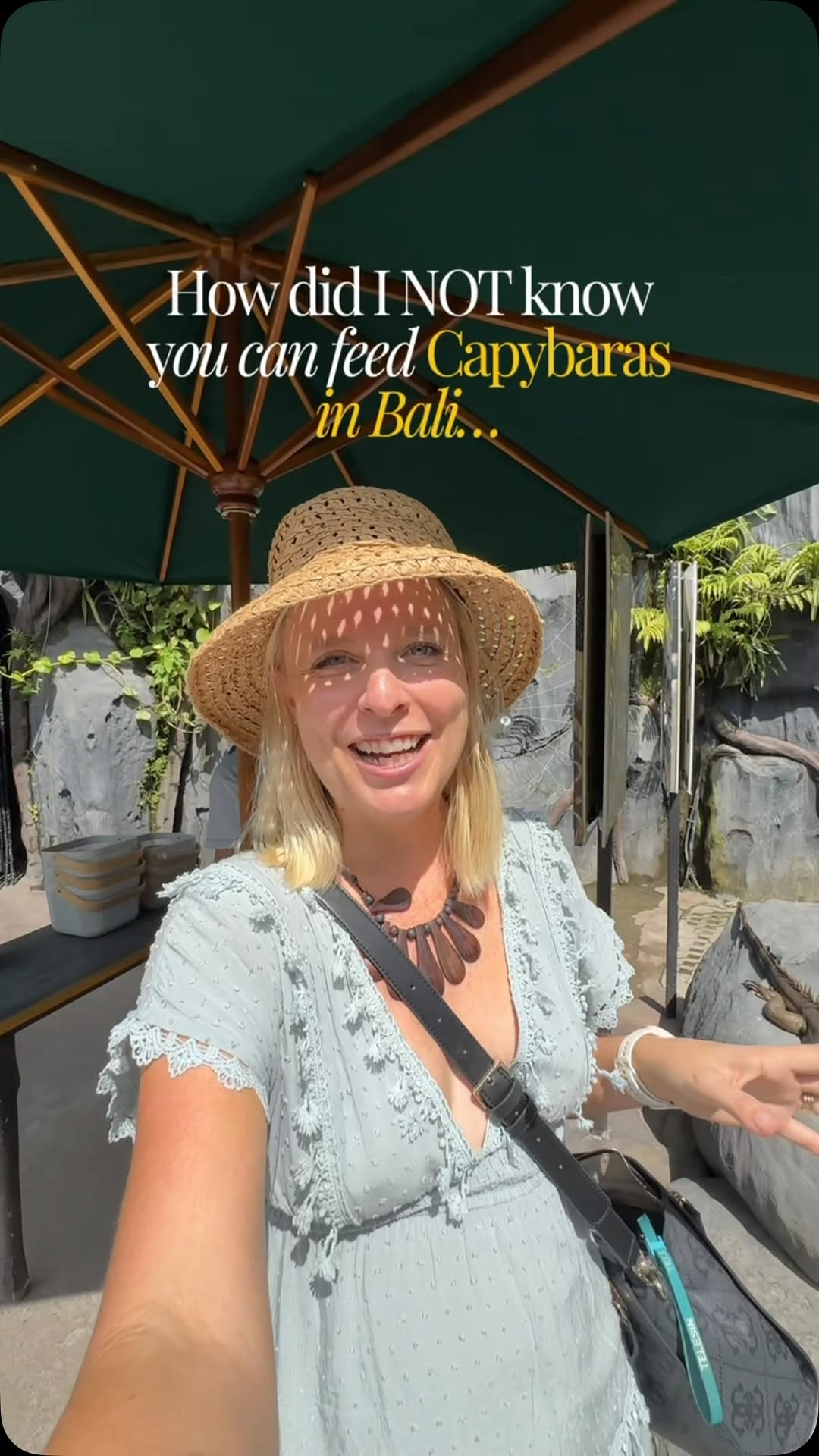 Bali Marine Safari Offers Unique Capybara Encounters