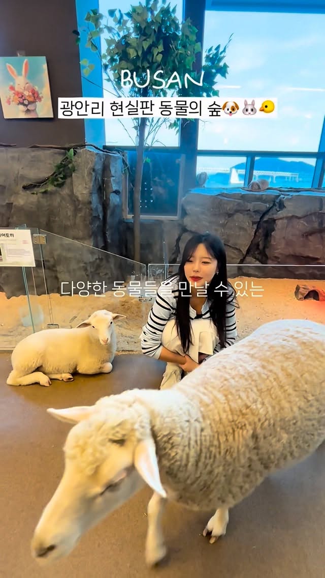 Gwanganli Ocean View Animal Cafe
