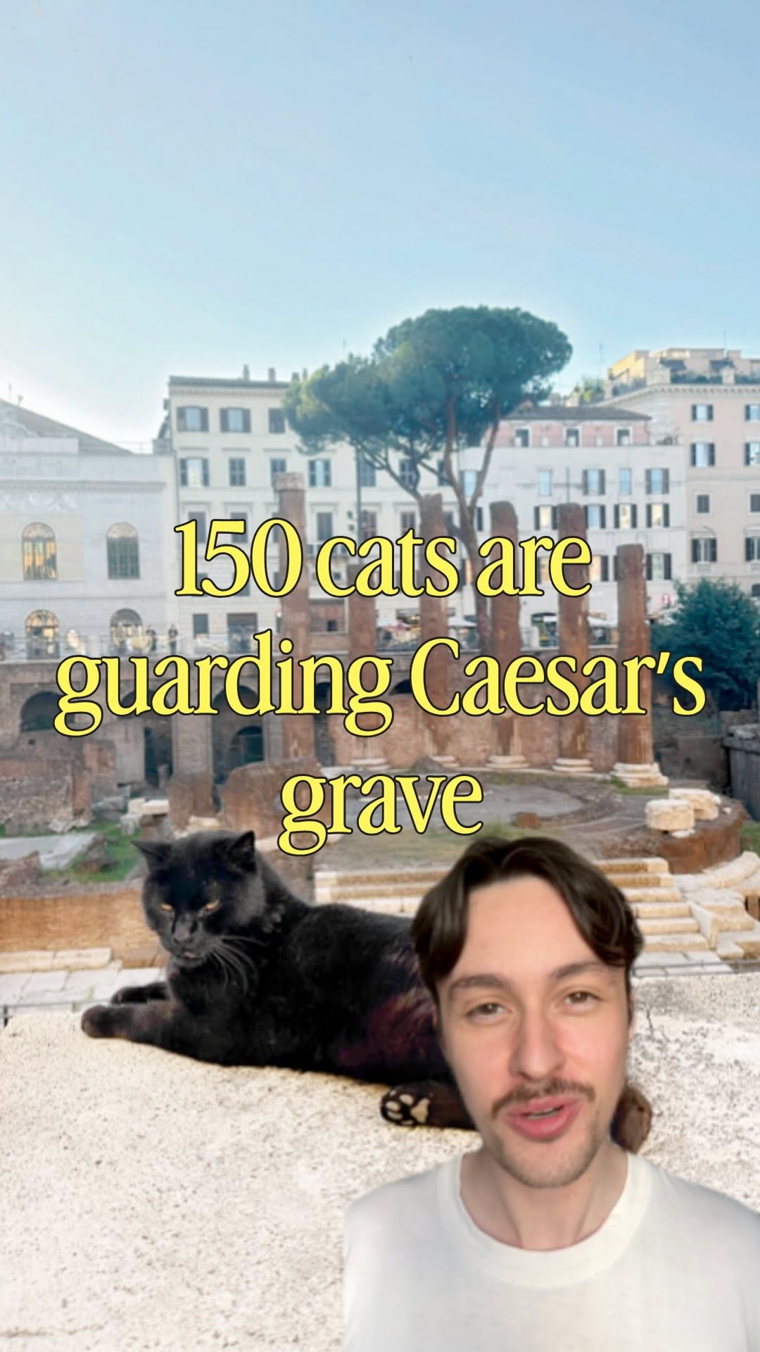 Ancient Roman Ruins Home to a Feline Sanctuary