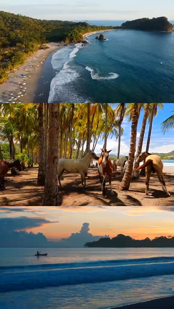 Costa Rican National Parks and Beaches