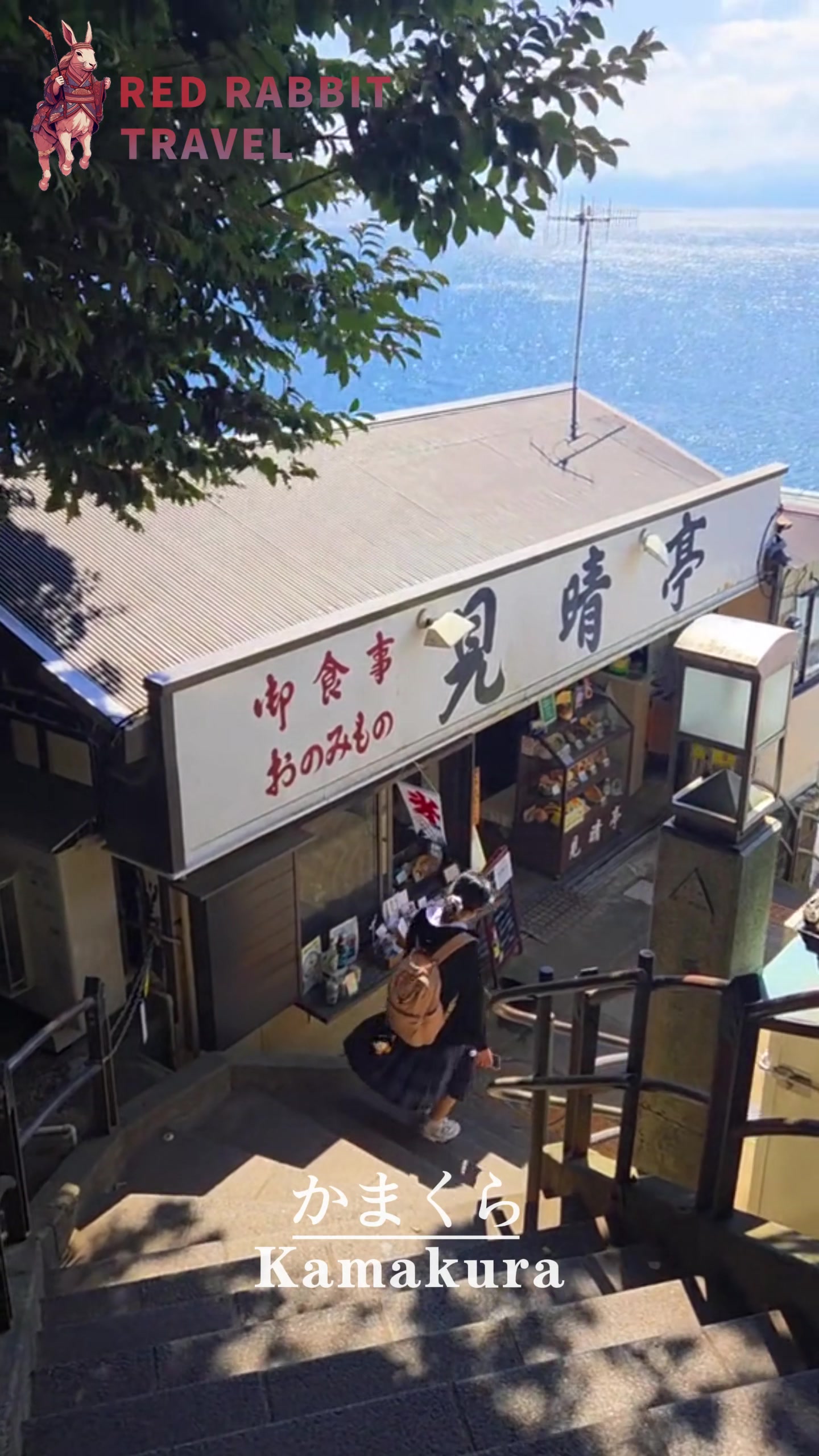 Kamakura Day Trip: Temples, Ocean, and Seaside Train Views