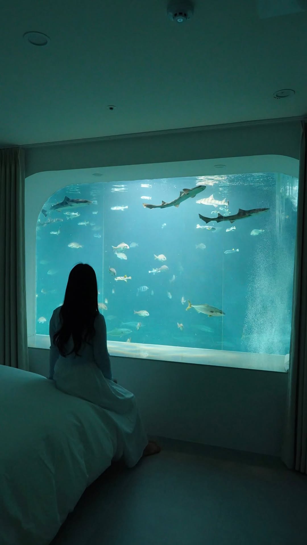 1 Hotels in Gyeongju