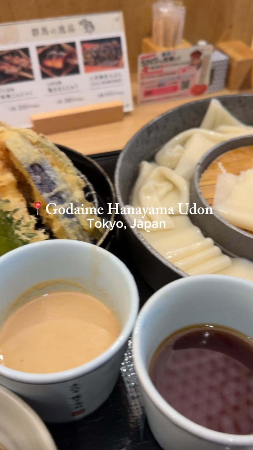 Tokyo Udon and Airport Adventures