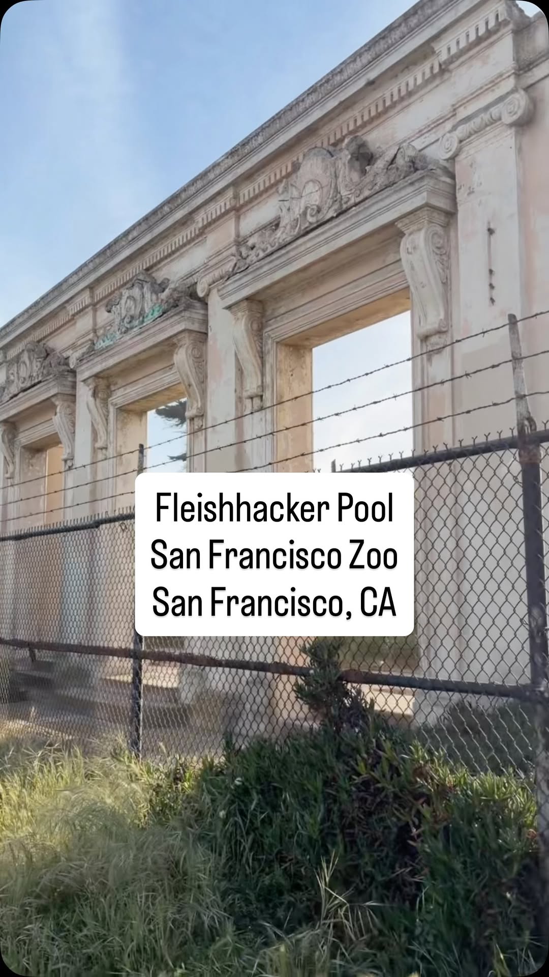Fleishhacker Pool's Past and Present