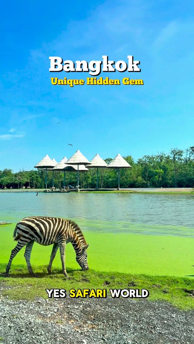 Bangkok Safari World Offers Animal Encounters
