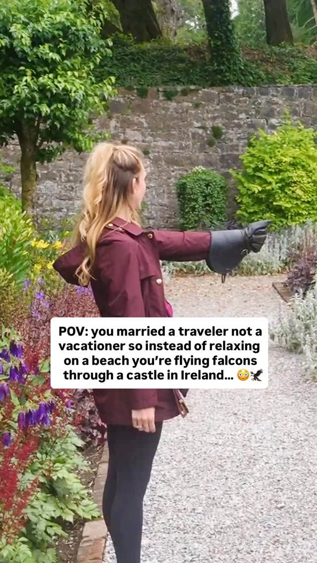Ashford Castle Falconry Experience