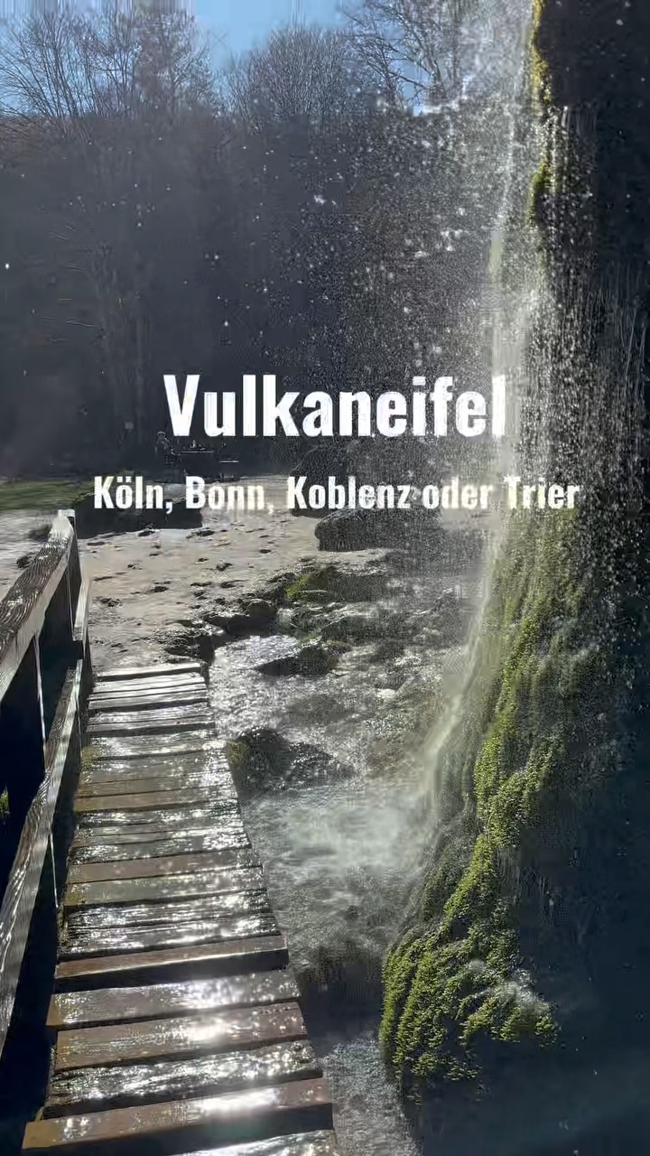 Rhine Valley Cities and Waterfall