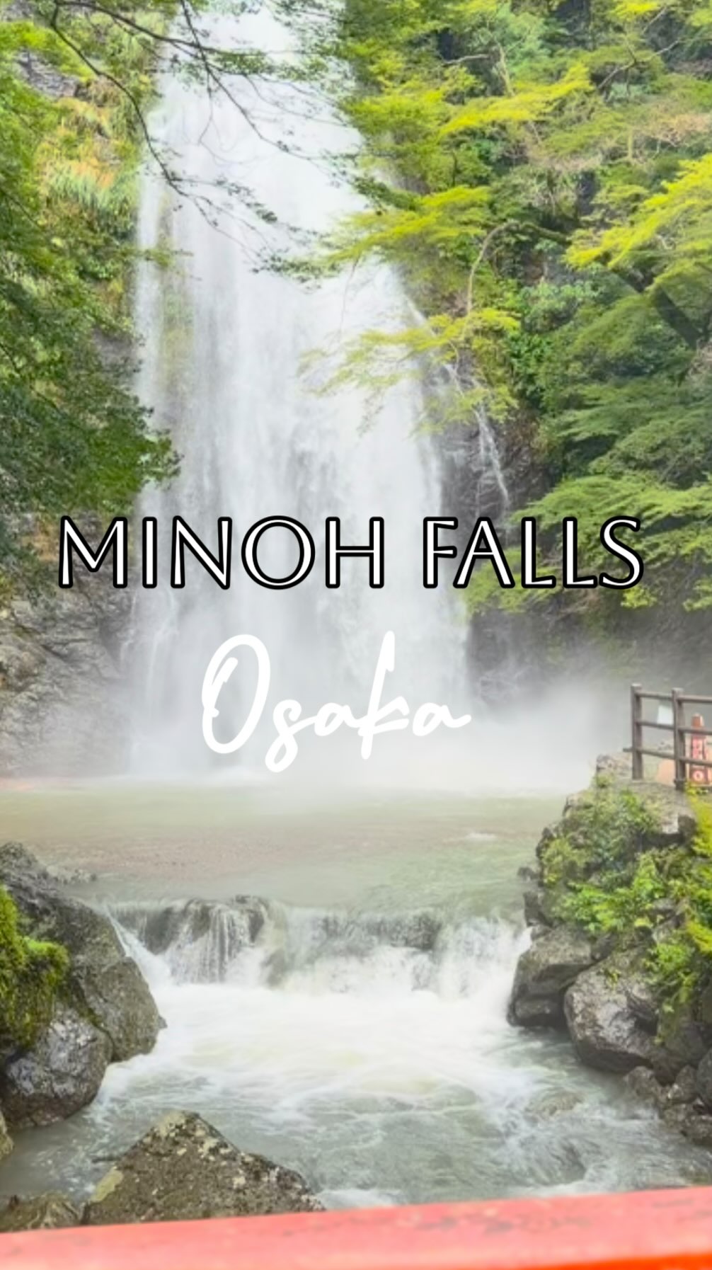 Osaka's City Buzz and Nature Retreats